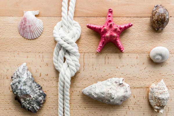 Closeup of seashells, starfish and marine knot lying on boards — Stock Photo, Image