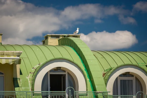 Mouette assise sur le toit en métal vert du bâtiment classique — Photo