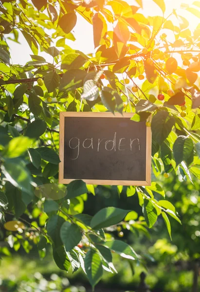 Gartenkonzept. Tafel mit Wort "Garten" hängt am Baum — Stockfoto