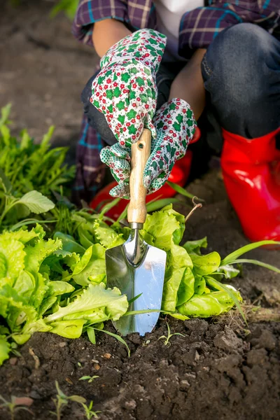 Closeup spade ile bahçe yatak üzerinde çalışan genç kadın — Stok fotoğraf