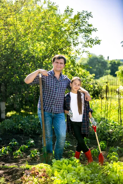 Man and daughter spudding lettuce garden bed at hot summer day — Stock Photo, Image