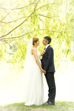 Beautiful elegant bride and groom holding hands under tree