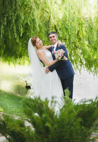 Beautiful hugging bride and groom under tree — Stockfoto