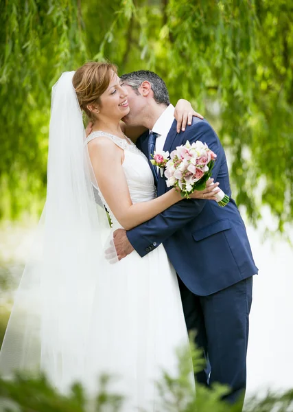 Handsome groom passionately kissing bride under tree — Stock fotografie