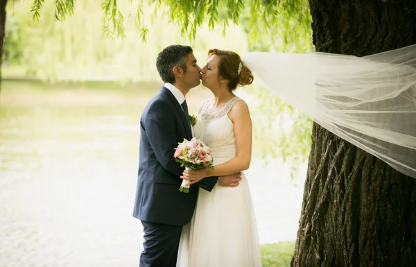 Portrait of beautiful kissing newlyweds at windy day at river — Stock Photo, Image