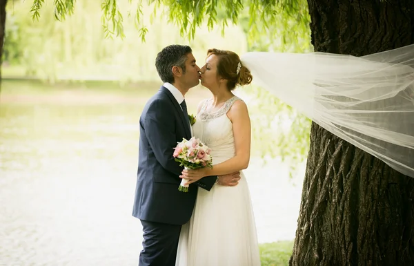 Portrait of beautiful kissing newlyweds at windy day at river Zdjęcia Stockowe bez tantiem