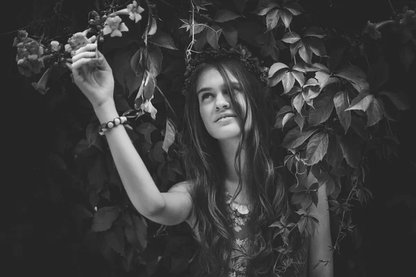 Чорно-білий портрет дівчини-німфи, що досягає квітки — стокове фото