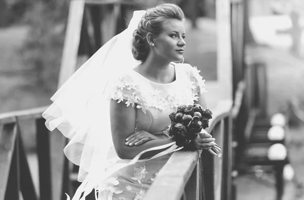Retrato de novia elegante posando en puente de madera en el día ventoso — Foto de Stock
