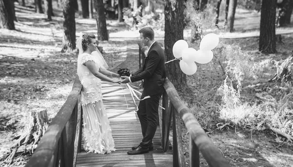 Black and white photo of happy bride and groom holding hands — Stock Photo, Image