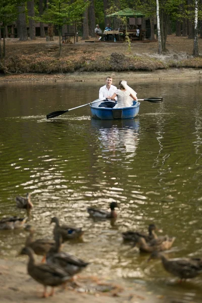 Pareja de recién casados a caballo en bote de remos en el lago en el bosque —  Fotos de Stock