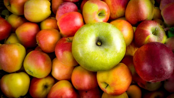Nahaufnahme eines grünen Apfels, der auf einem Haufen roter Äpfel liegt — Stockfoto