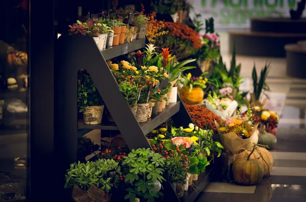 Colpo tonico di stand in legno con fiori al negozio fiorista — Foto Stock