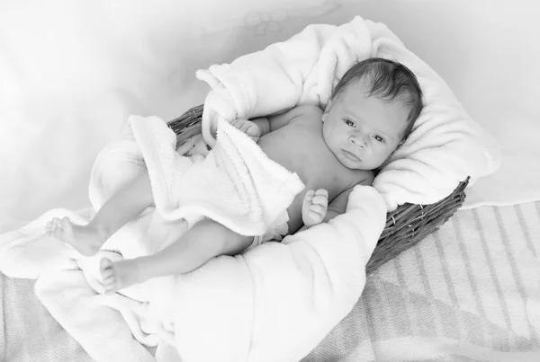 Retrato en blanco y negro de un bebé de 2 meses durmiendo en mimbre — Foto de Stock