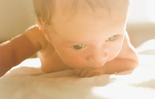 定了调子肖像的刚出生的婴儿在床上爬行在阳光灿烂的日子 — 图库照片