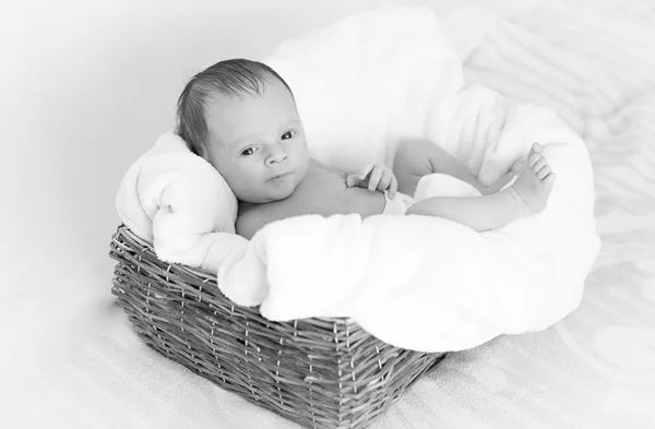 Black and white portrait of cute newborn baby lying in big wicke — Stock Photo, Image