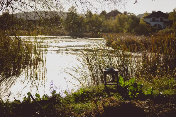 Toned shot of lake with growing high grass on shore — Stock Photo, Image