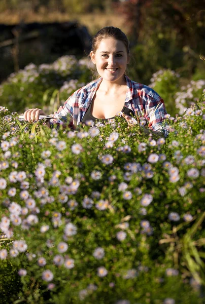 Mujer sonriente poda flores en el jardín con tijeras —  Fotos de Stock