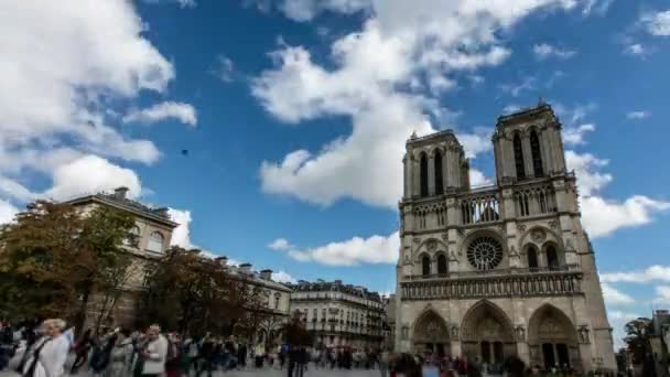 Catedral de Notre Dame en París Timelapse Video — Vídeos de Stock