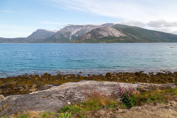 Fjordu v Norsku 2 — Stock fotografie
