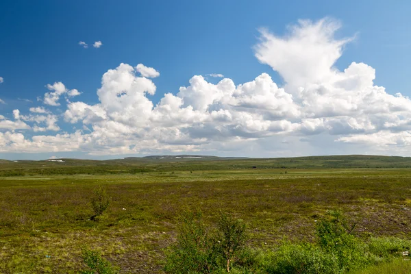 Finnmarksvidda 2 Stockbild