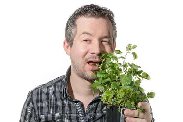 Eating plant — Stock Photo, Image