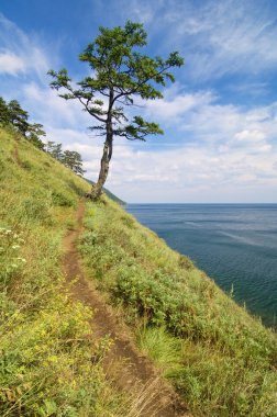 Deniz Baykal görünümü