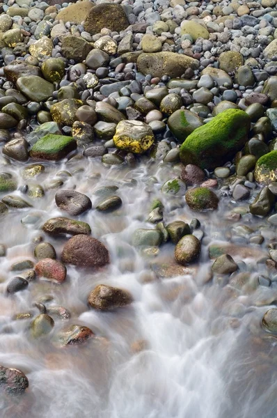 Costa dell'isola di Madeira — Foto Stock