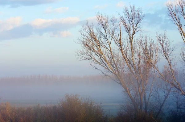 Природний парк Moncayo — стокове фото