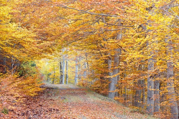 MONCAYO doğal park — Stok fotoğraf