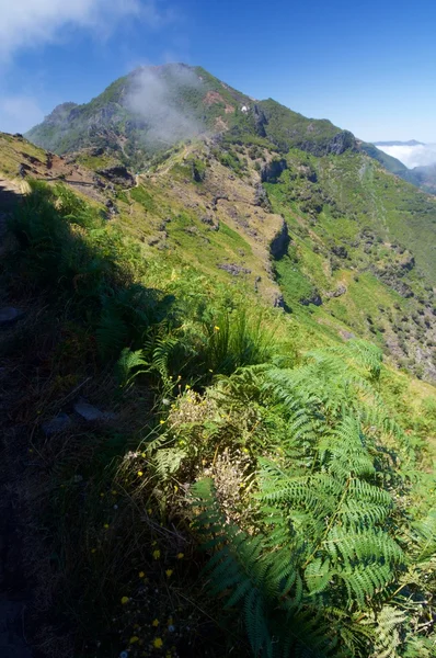 Madeira eiland landschap — Stockfoto