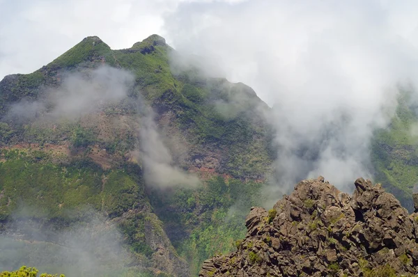 Madeira ön landskap — Stockfoto