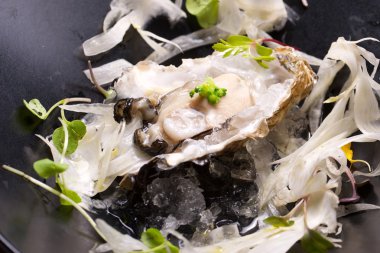 İstiridye yakın çekim