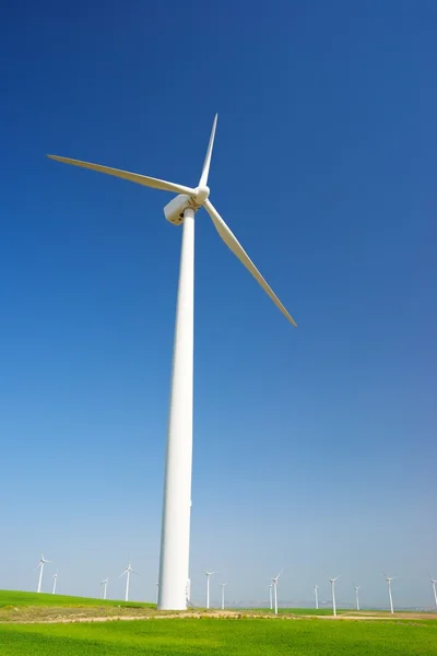 Concepto energía eólica — Foto de Stock