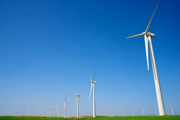 Concepto energía eólica —  Fotos de Stock