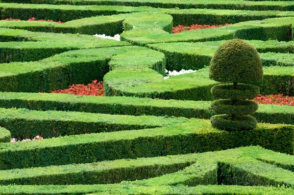 Garten des Schlosses von Villandry — Stockfoto