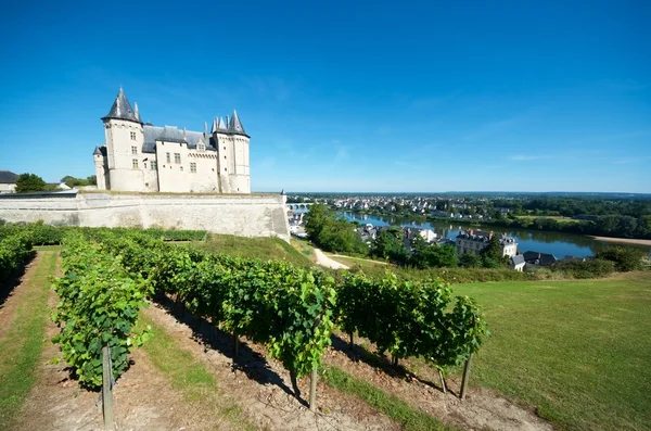 Widok na zamek w Saumur — Zdjęcie stockowe