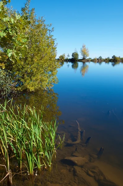 Naturparken Moncayo — Stockfoto