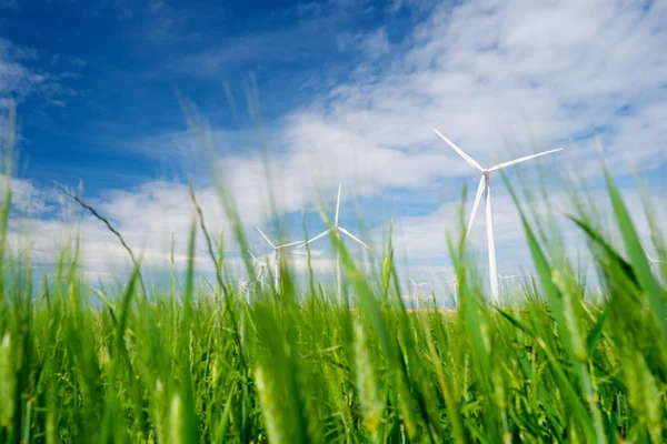 Produkce obnovitelné energie — Stock fotografie