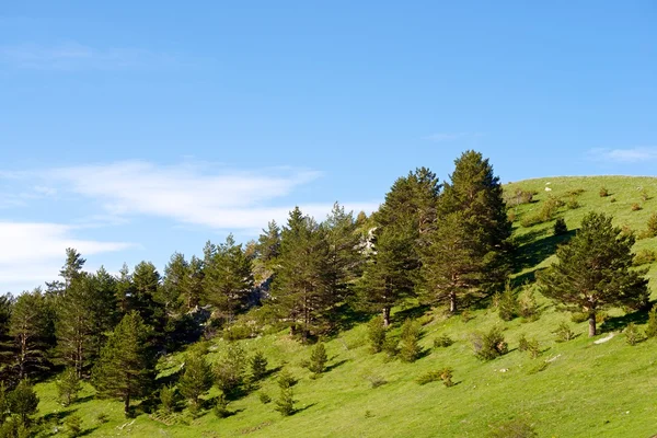 Pyrenäen in Spanien — Stockfoto