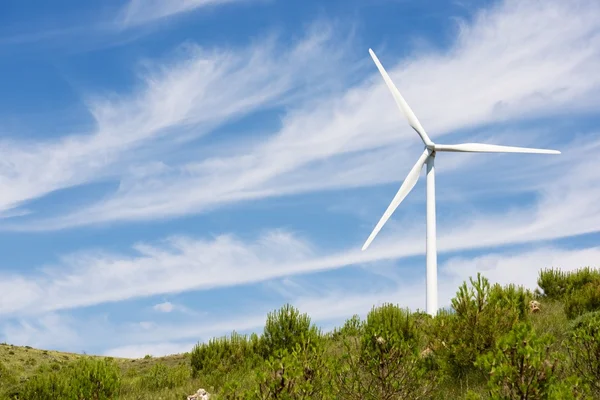 Produção de energia renovável — Fotografia de Stock