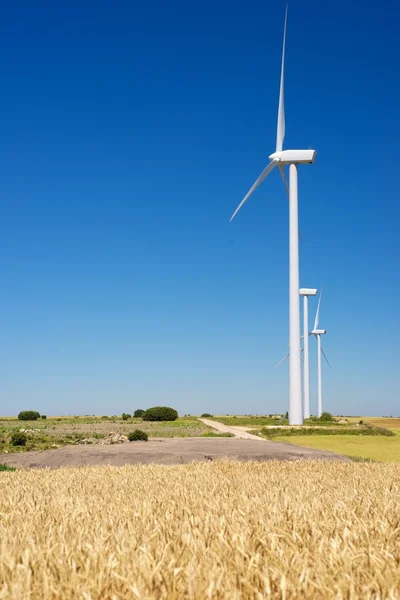 Producción de energía renovable — Foto de Stock