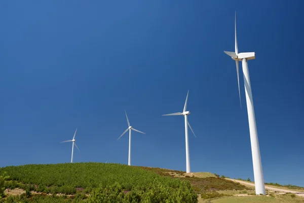 Produção de energia renovável — Fotografia de Stock