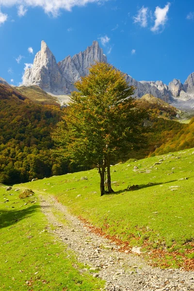 Pirenei in Spagna — Foto Stock