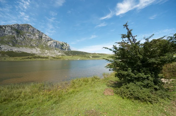Vista para o lago Covadonga — Fotografia de Stock