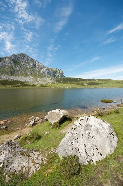 Vista para o lago Covadonga — Fotografia de Stock