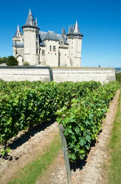 Blick auf die Burg von Saumur — Stockfoto