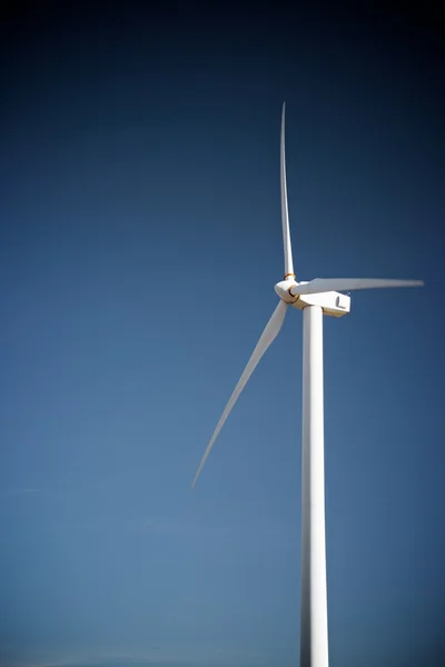 Concepto energía eólica — Foto de Stock