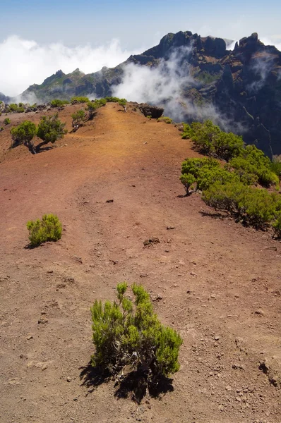 Paesaggio a Madeira — Foto Stock