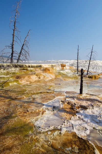 Parco nazionale di Yellowstone — Foto Stock