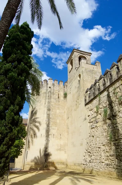 Vista de la pared de Córdoba — Foto de Stock